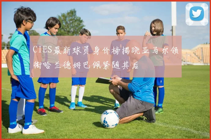 CIES最新球员身价榜揭晓亚马尔领衔哈兰德姆巴佩紧随其后